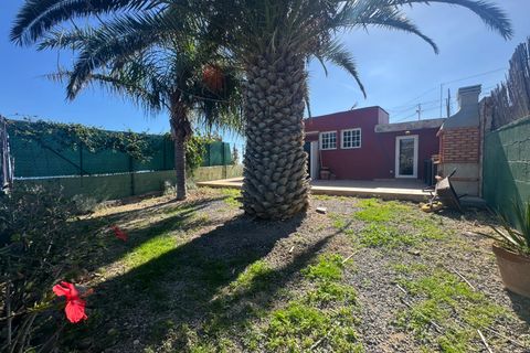 Finca i El Escobonal, Tenerife, El Escobonal - € 369.000 | Ref: VHP-0420 - foto 11